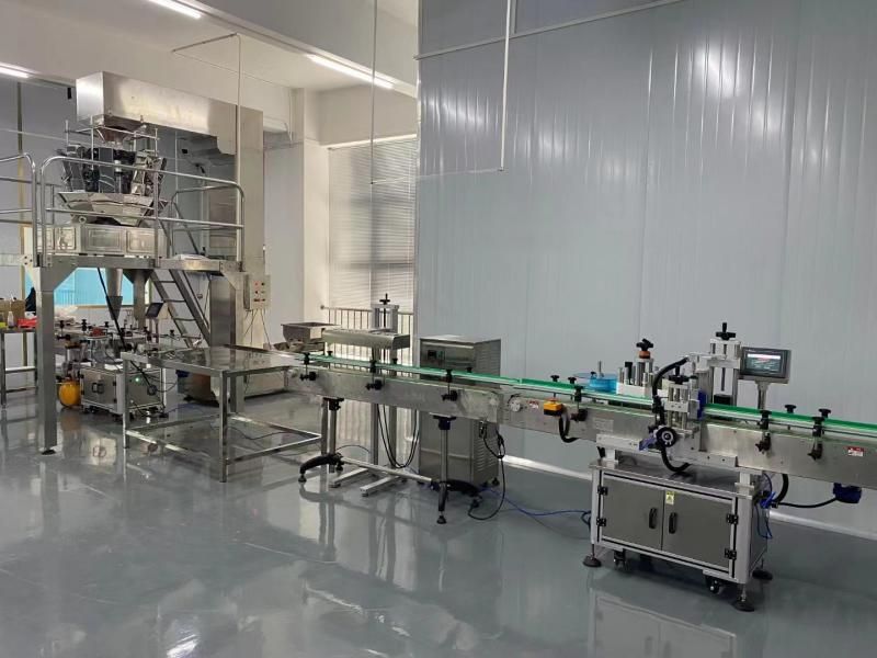 Fully Automatic Snacks Filling Machine